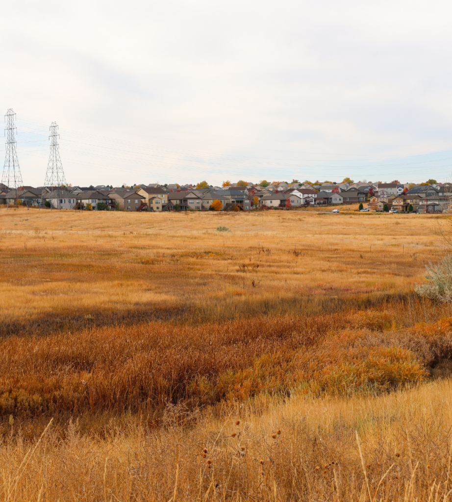 Copperleaf Parcel Natural Area | Native grasses and trees on an undisturbed parcel of land