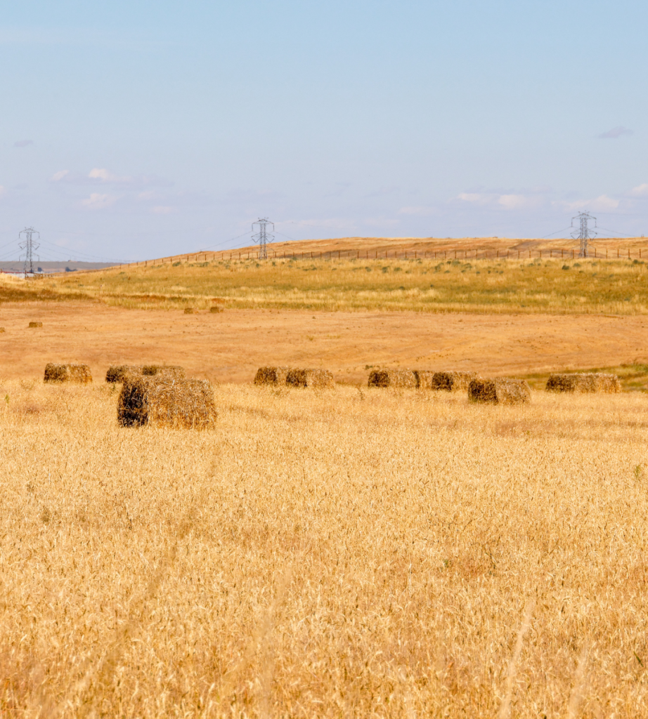 Country Park Parcel Fields