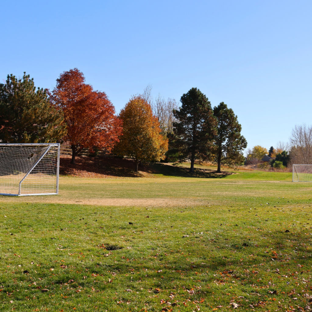 Pioneer Park | Multi-use Soccer Field