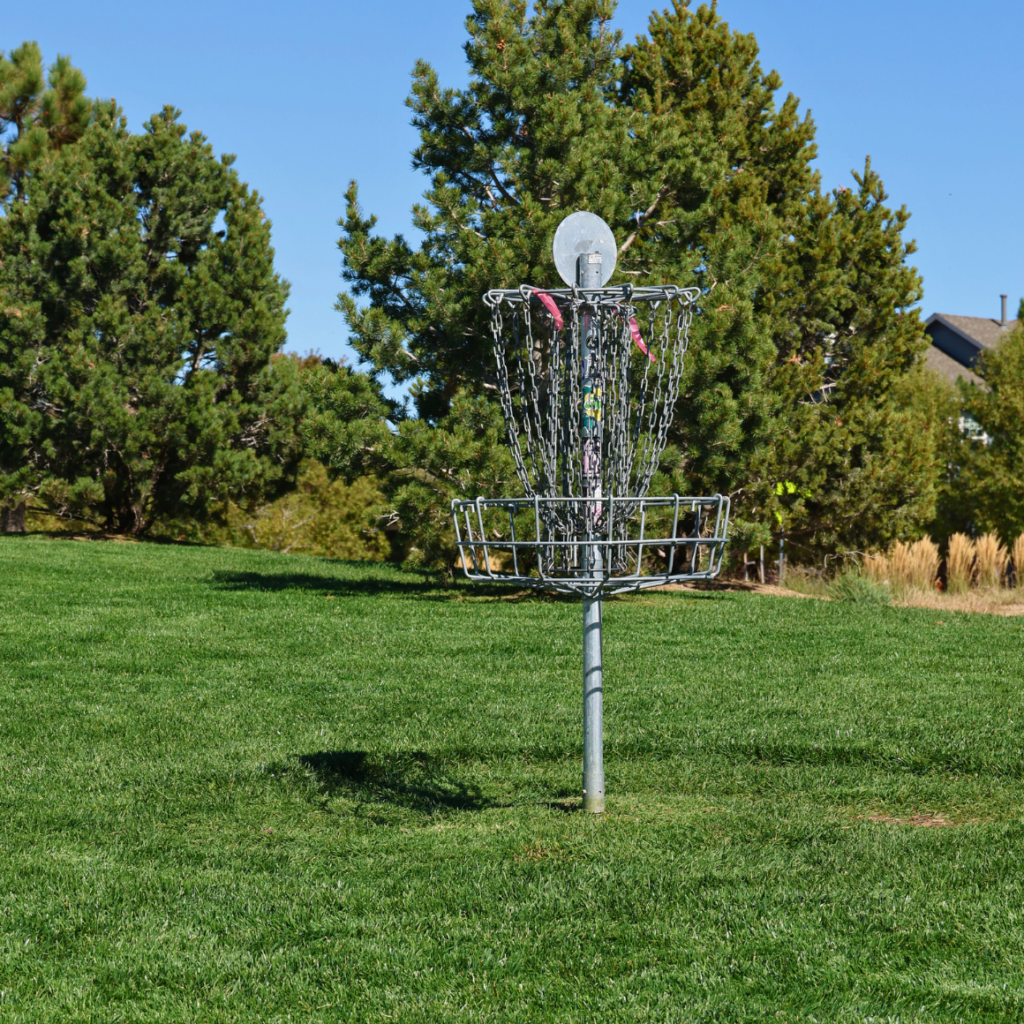 Tall Grass Frisbee Disc Golf Course Parks and Rec