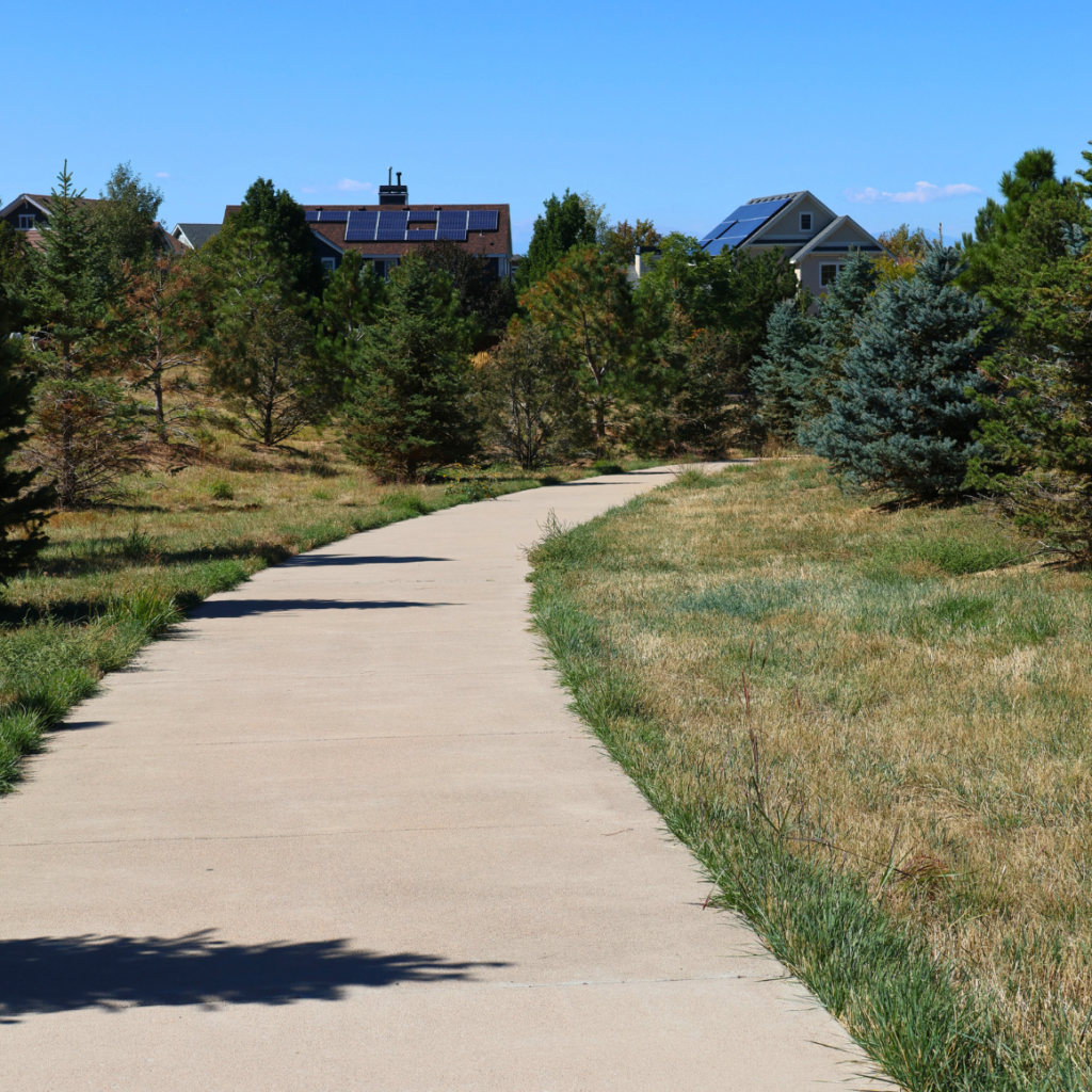 Tall Grass Park Path