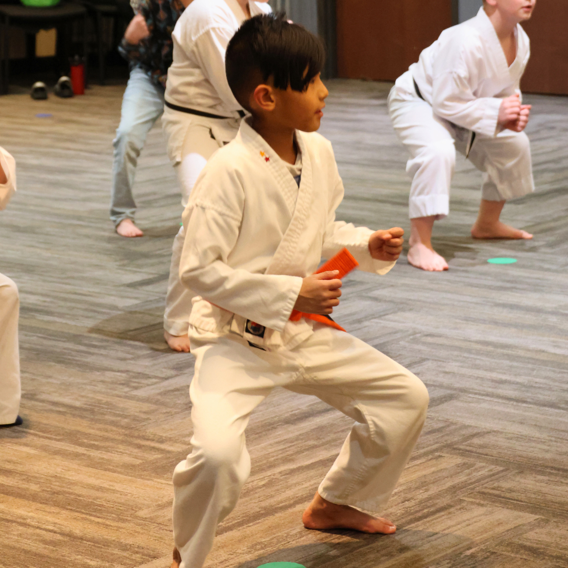 Taekwondo Martial Arts Class | Boy in a taekwondo stance