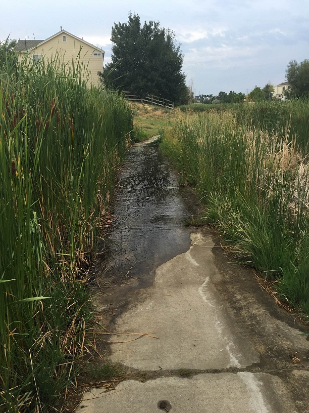 Mesa Open Space dirt path along Nameless Tributary before renovation project