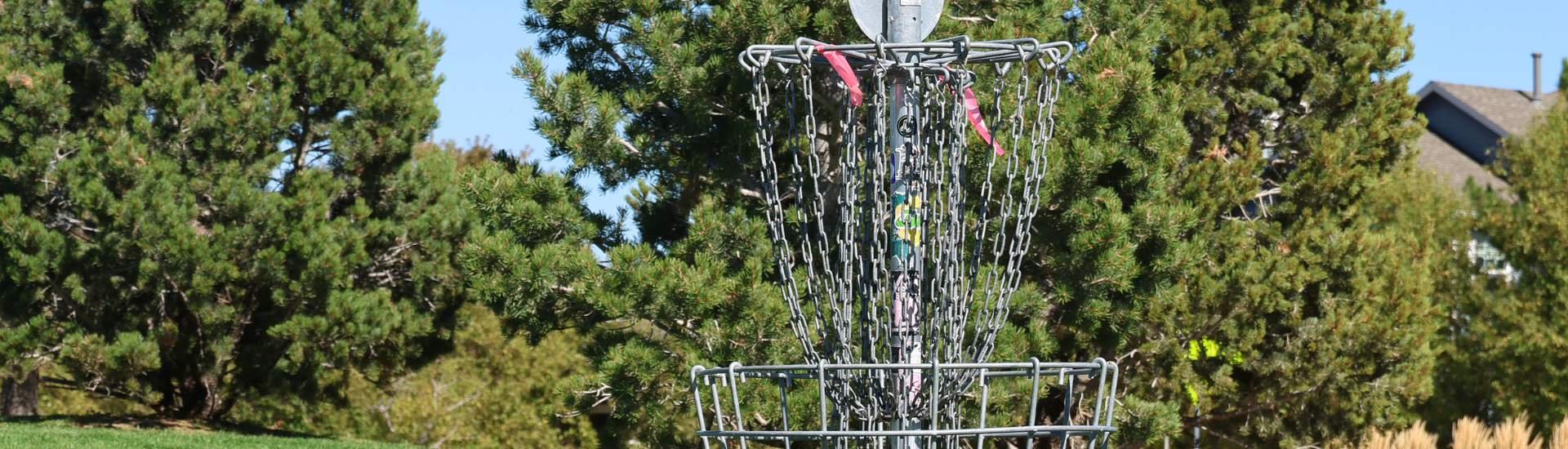 Trails Disc Golf Tournament | Disc Golf basket at Tall Grass park with trees in the background