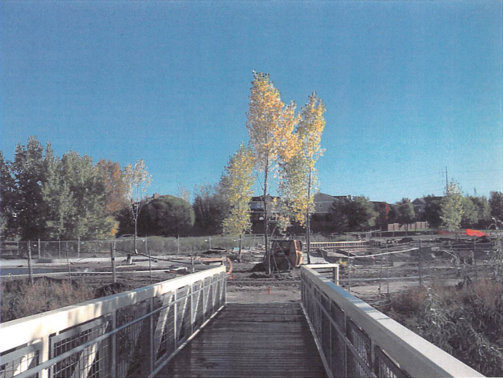 September 2004 | Tree transplanting in progress